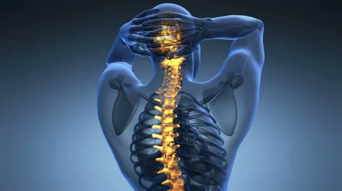 Backbone. backache. science anatomy scan of human spine bones glowing Stock Footage 68817715