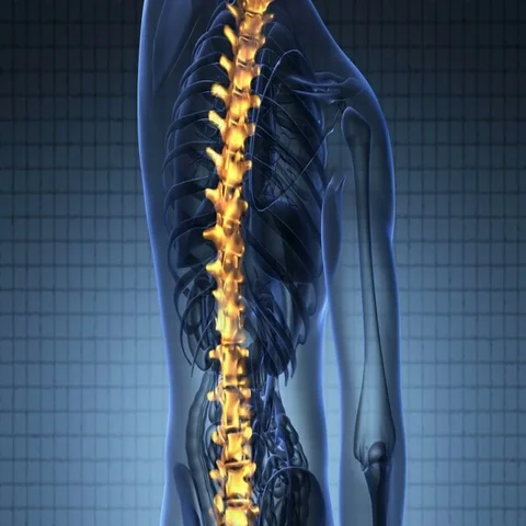 backbone. backache. science anatomy scan... | Stock Video | Pond5