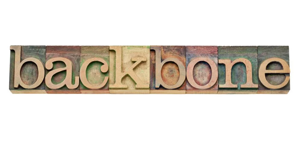 backbone - computer network concept backbone - computer network concept -... Stock Photos