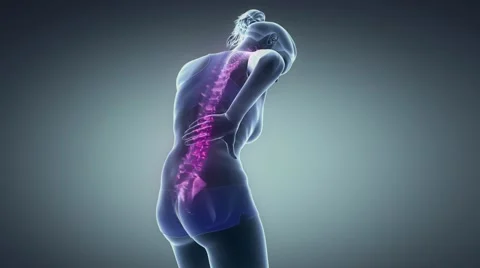 Backbone hurt with visible spine anatomy Video stock 60623554