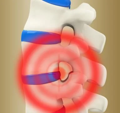 Backbone Stock Illustration