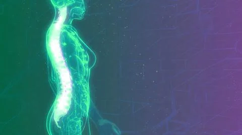 Backbone on x-ray human body, cg medicine 3d illustration 스톡 일러스트