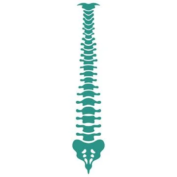 Backbones icon logo design Stock Illustration