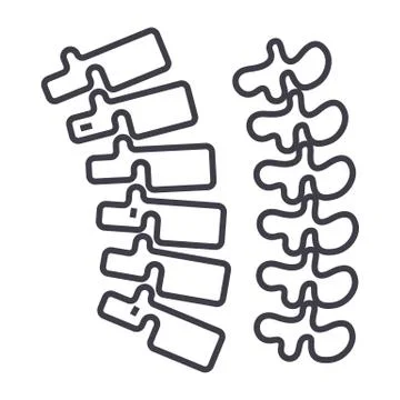 Backbone,spine vector line icon, sign, illustration on background, editable イラスト素材