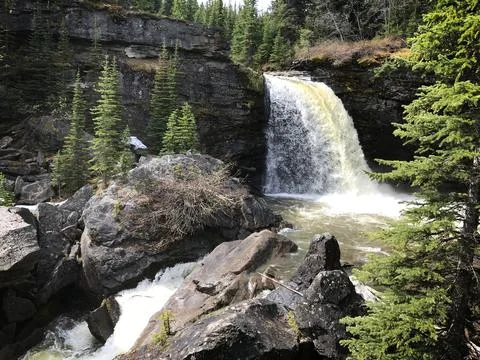Backcock Falls with Pine Trees Stock Photos