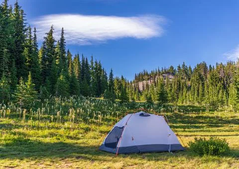 A backcountry tent among alpine meadow wildflowers Stock Photos