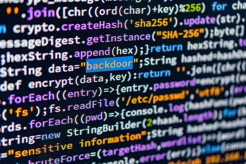 Backdoor. Close-up view of a technical computer screen display, focusing on c 写真素材