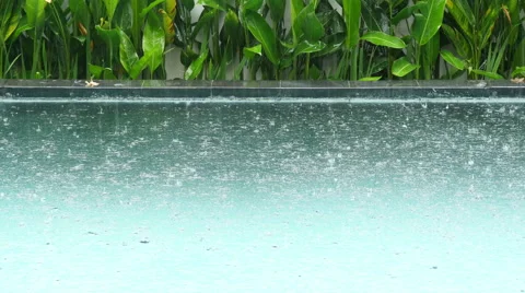 Backdrop of the beautiful rain Stock Footage 51762146