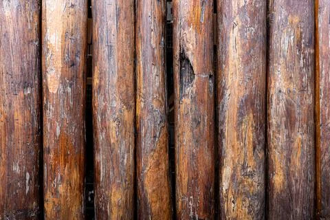 Backdrop of big brown tree logs sorting in vertical. Stock Photos