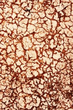Backdrop of cracks on textured pavement Stock Photos