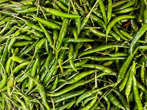 Backdrop of green chilli peppers texture background. Close up view with cop.. Foto stock