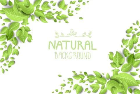 Backdrop with green leaves Stock Illustration