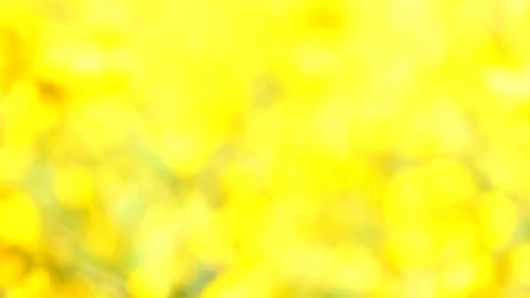 The backdrop looks like a group of flowers. Stock Footage 83962045