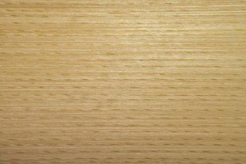 Backdrop or background wooden. Beech white tree. Stock Photos