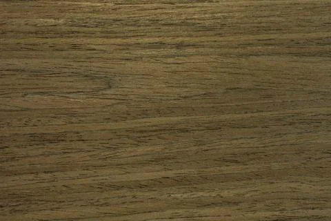 Backdrop or background wooden. Veneer nutwood tree. Stock Photos