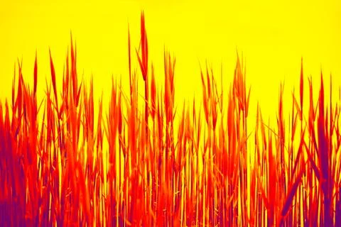 Backdrop of spring colored trendy. Stock Photos