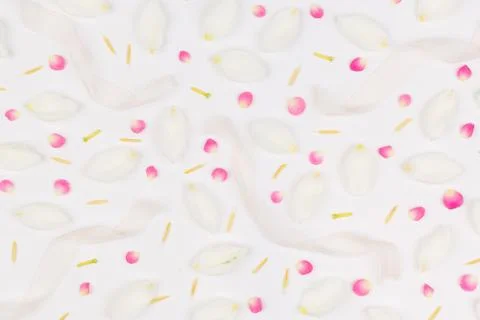 Backdrop, tenderness, femininity concept. extremely light background created Stock-Fotos