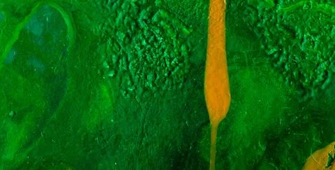 A Backdrop of Vibrant Colors, Texture, and Gold Elements Stockillustratie