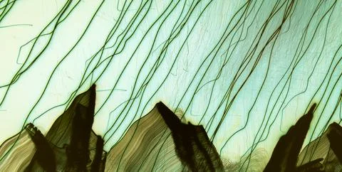 A Backdrop of Vibrant Colors, Texture, and Gold Elements Stock Illustration