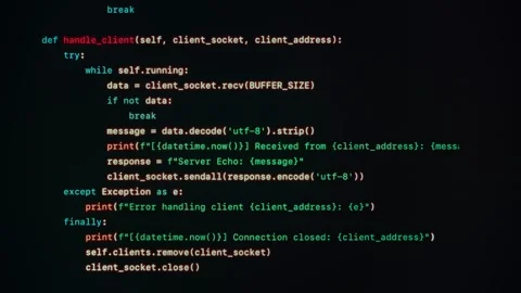 Backend Development Code on Black Screen Stock Footage 317614409