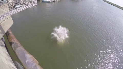 Backflip off of bridge Stockbeeldmateriaal 77359116