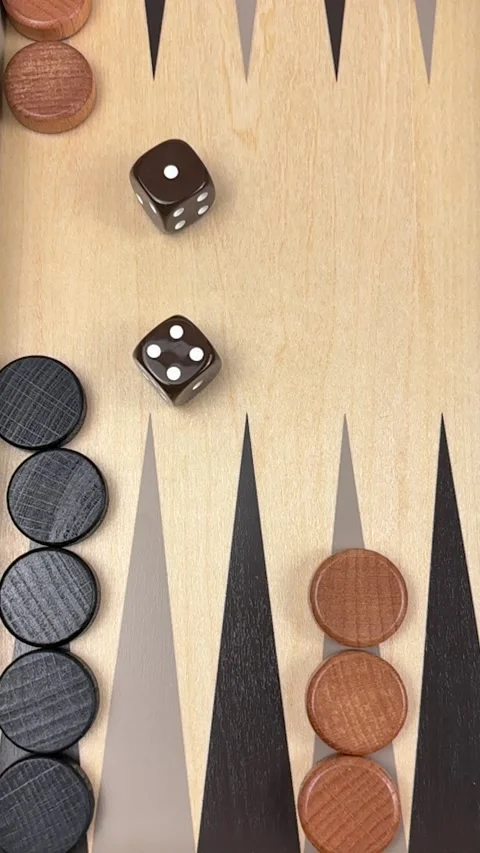 Backgammon Board Game Top Down Stock Footage 310209877