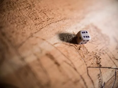Backgammon. The cube lies on the game table Stock Photos