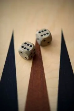 Backgammon dice lying on the playing field Stock Photos