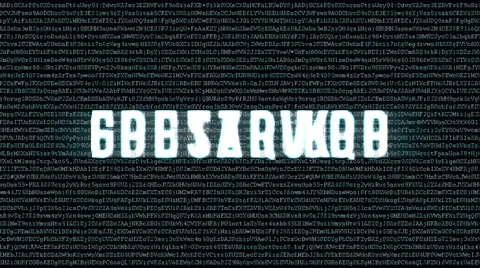 Backgound code with dynamic text encryption Stock Footage 55502567