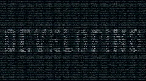 Backgound code with text developing Stock Footage 55502833