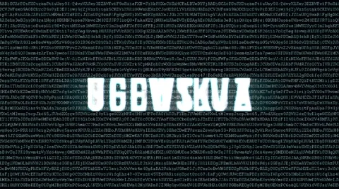 Backgound code with text dynamic security Stock Footage 55502540