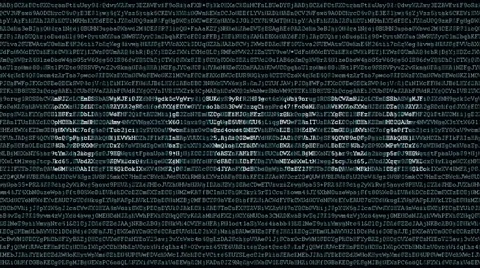 Backgound code with text network Stock Footage 55502636