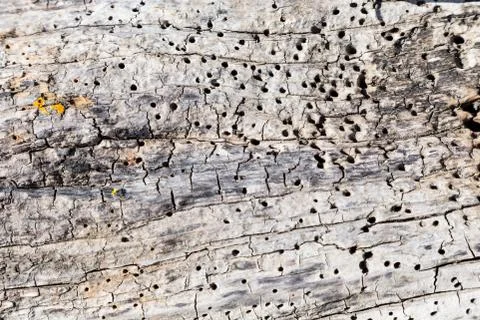 Backgound with natural material Stock Photos
