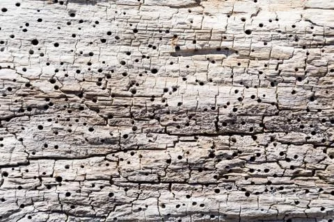 Backgound with natural material Stock Photos