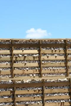 Backgound Stock Photos