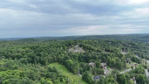 Backgound trees and sky Stock Footage 281305681