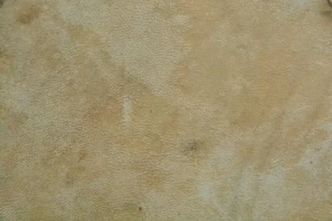Backgraund texture of real leather. Stock-Fotos