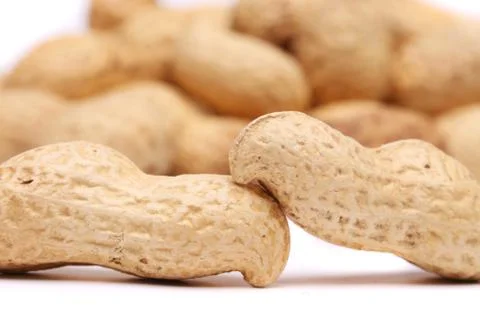 Backgroun of the two peanuts Stock Photos