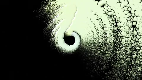 Background 03 Stock Footage 269786236