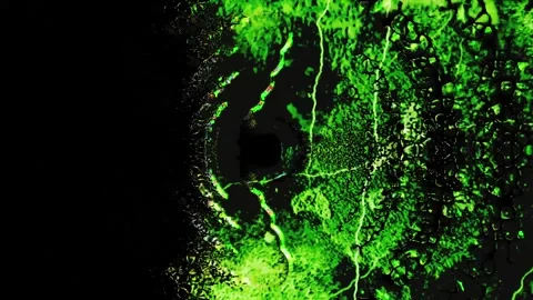 Background 04 Stock Footage 269786244