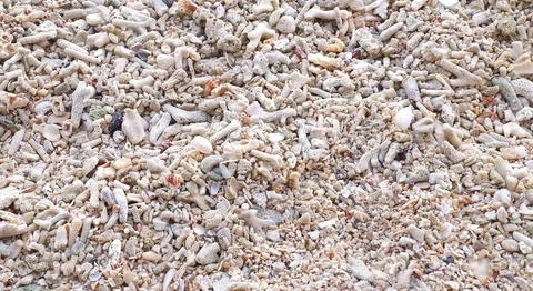 Background 10 Foto stock