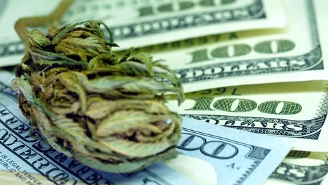 Background of 100 dollars, marijuana in the foreground Stock Footage 123829951