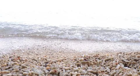 Background 11 Stock Photos