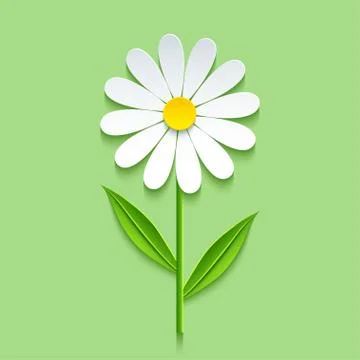 Background with 3d chamomile Stock Illustration