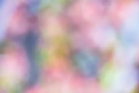 Background abstract bokeh Stock Illustration