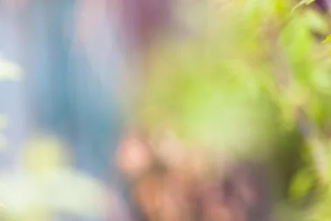 Background abstract bokeh Stock Illustration