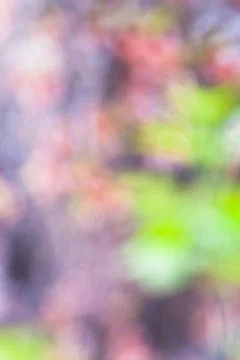 Background abstract bokeh Stock Illustration