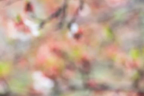 Background abstract bokeh Foto stock