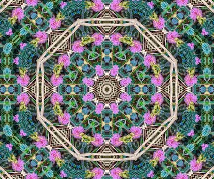 Background abstract flame mandala flower colorful Illustrazione stock