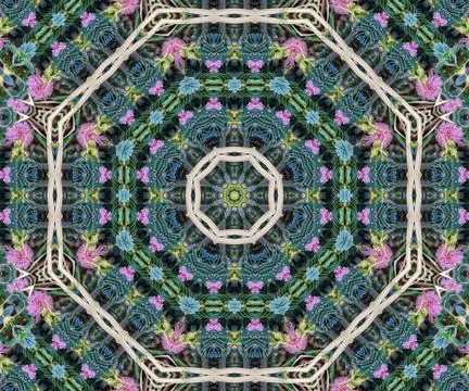 Background abstract flame mandala flower colorful Illustrazione stock